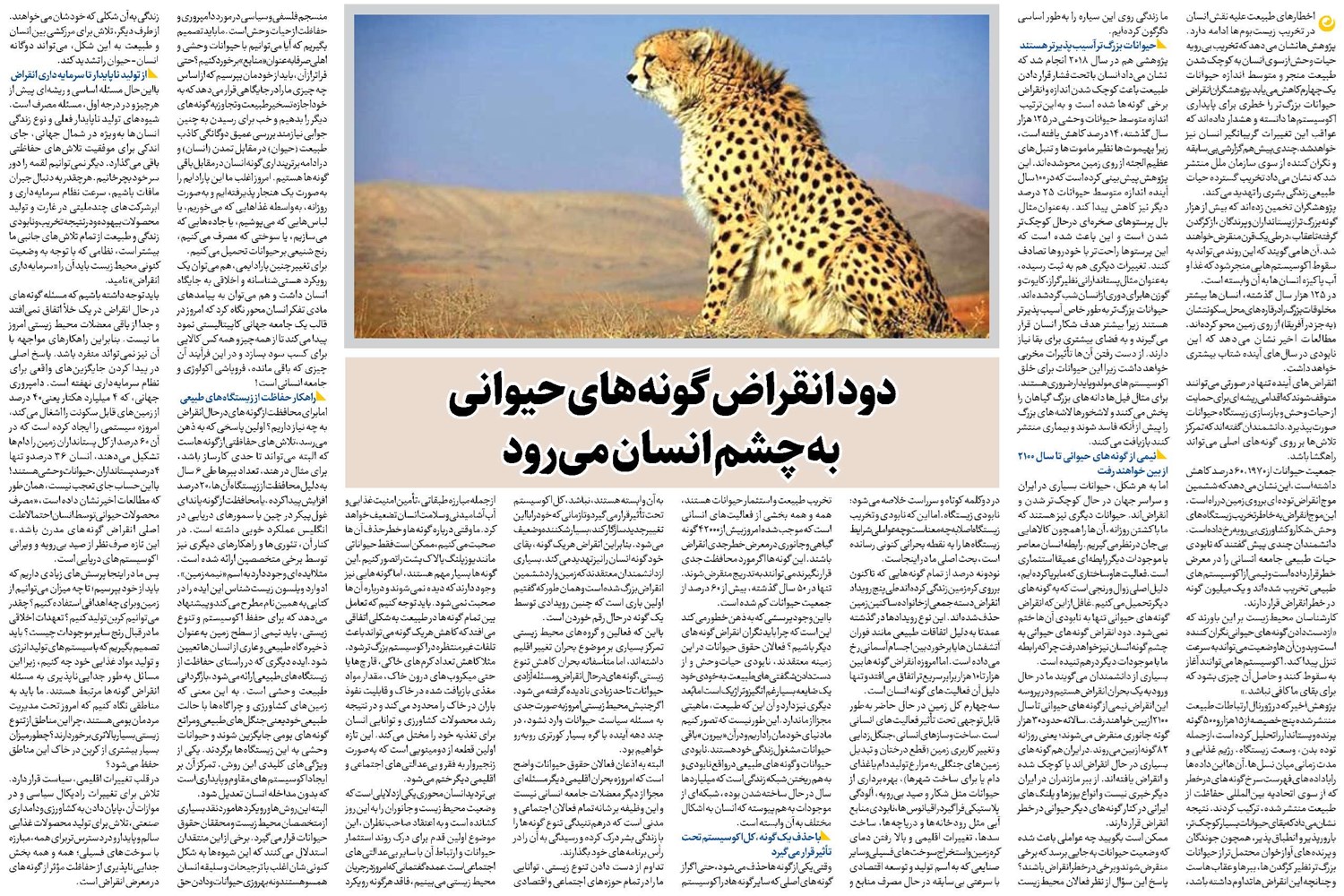 دود انقراض گونههای حیوانی به چشم انسان میرود