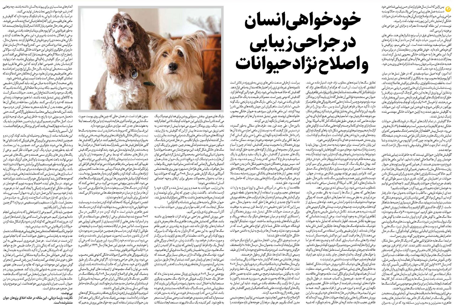 خودخواهی انسان در جراحی زیبایی و اصلاح نژاد حیوانات