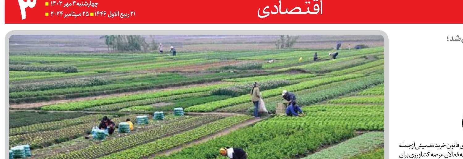 ضرورت اجرای  مشوق‌های حمایتی 