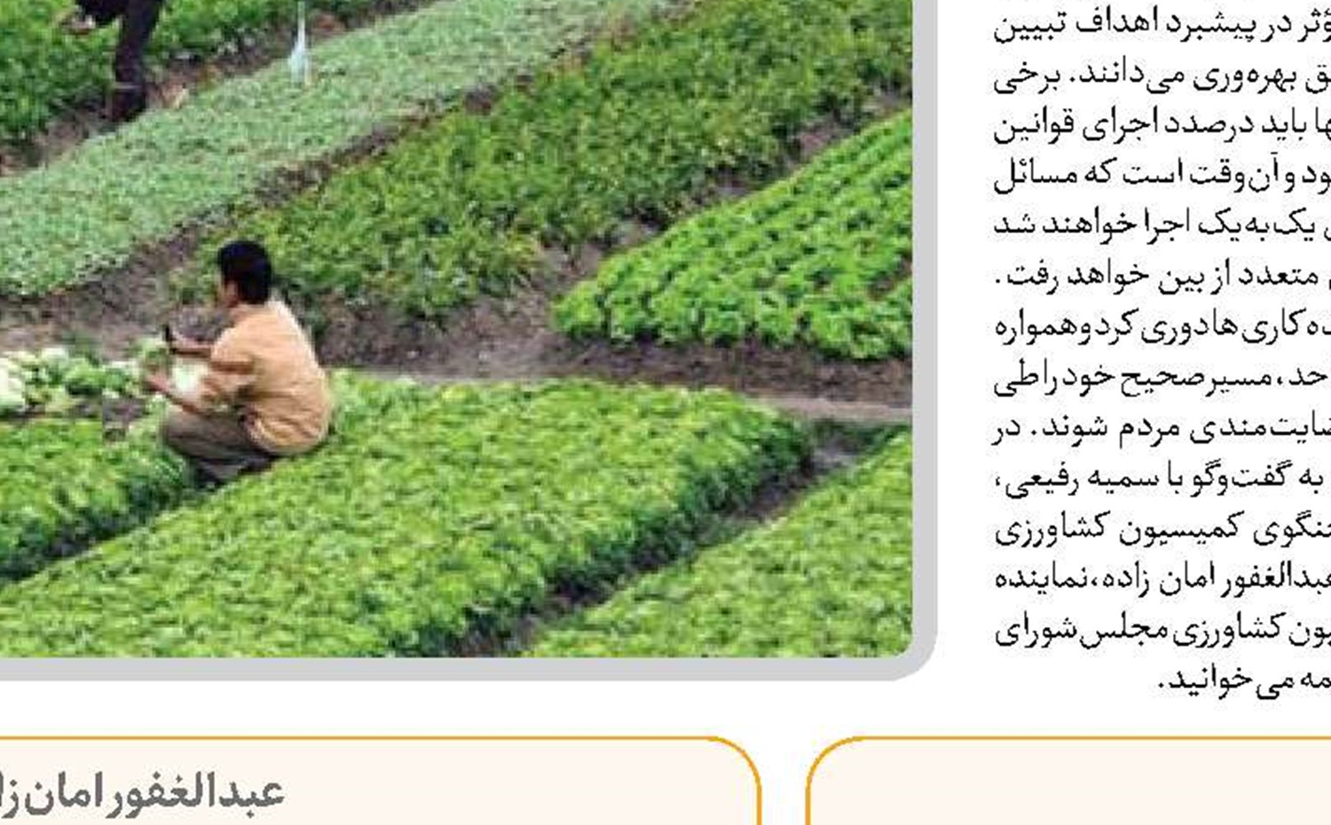 تعدد قوانین مانع مطالبه منسجم است