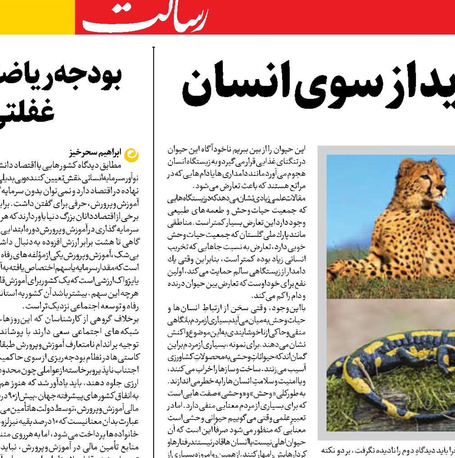 حیات وحش در معرض تهدید از سوی انسان