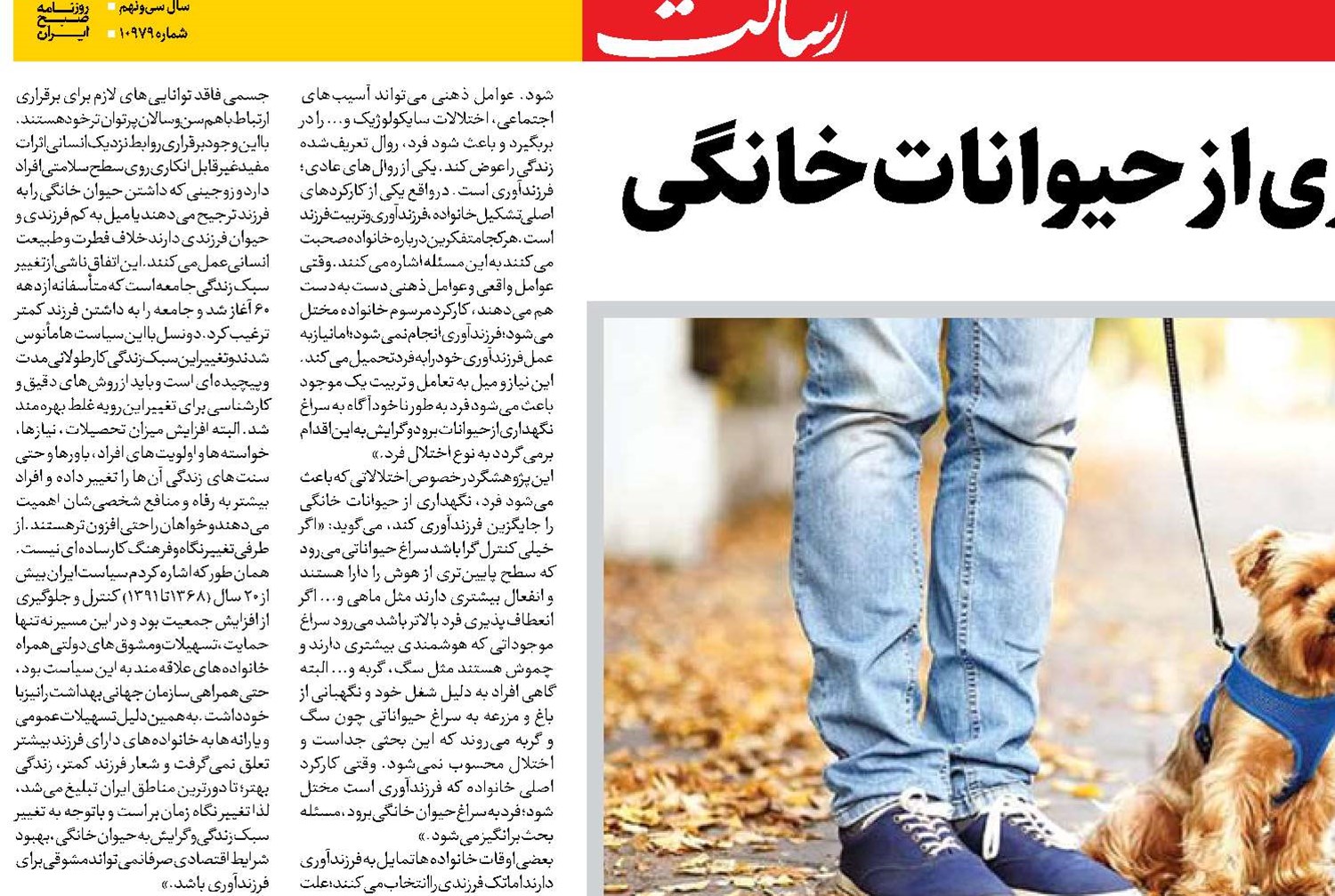 ردپای فردگرایی در نگهداری از حیوانات خانگی