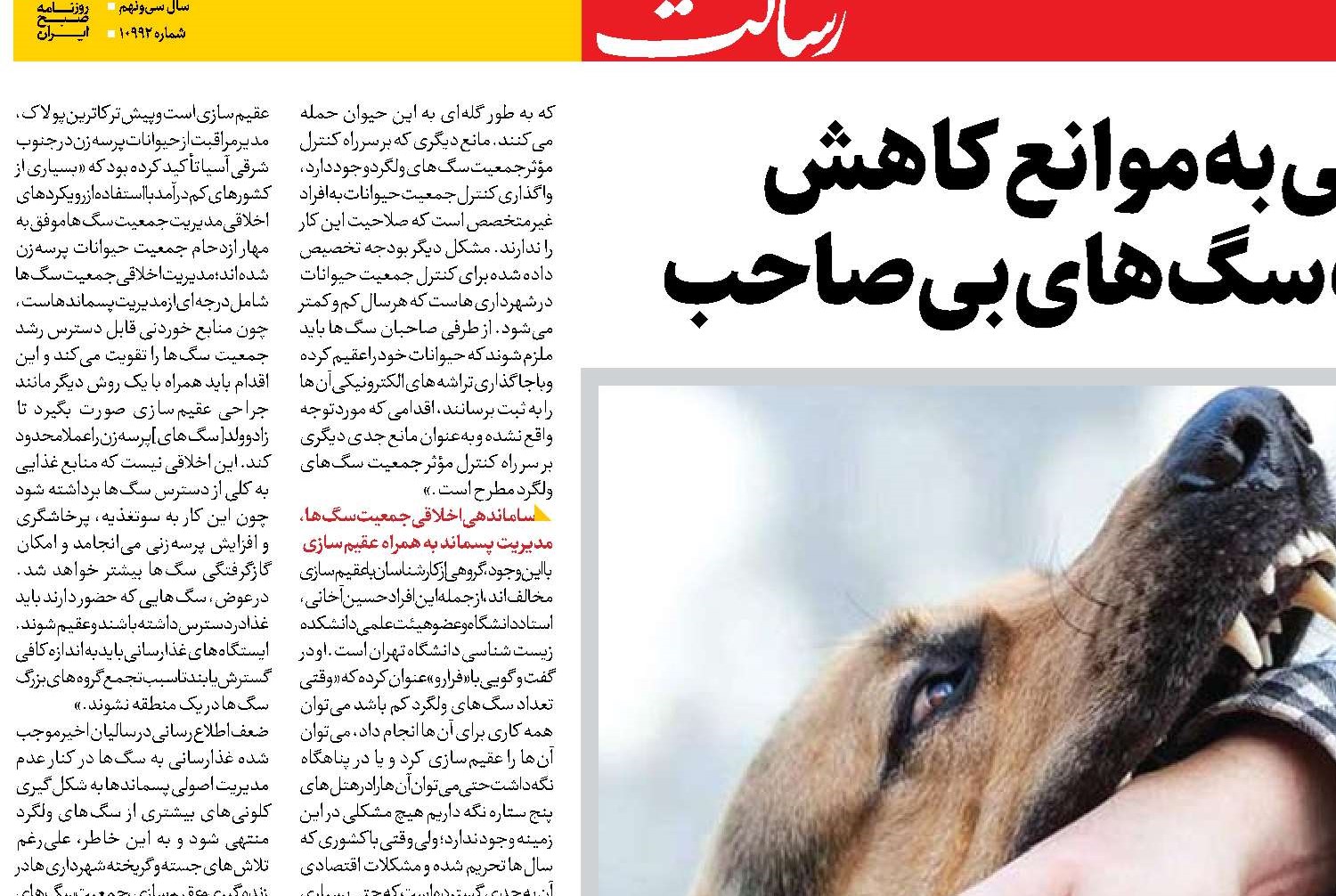 نگاهی به موانع کاهش  جمعیت سگ‌های بی‌صاحب
