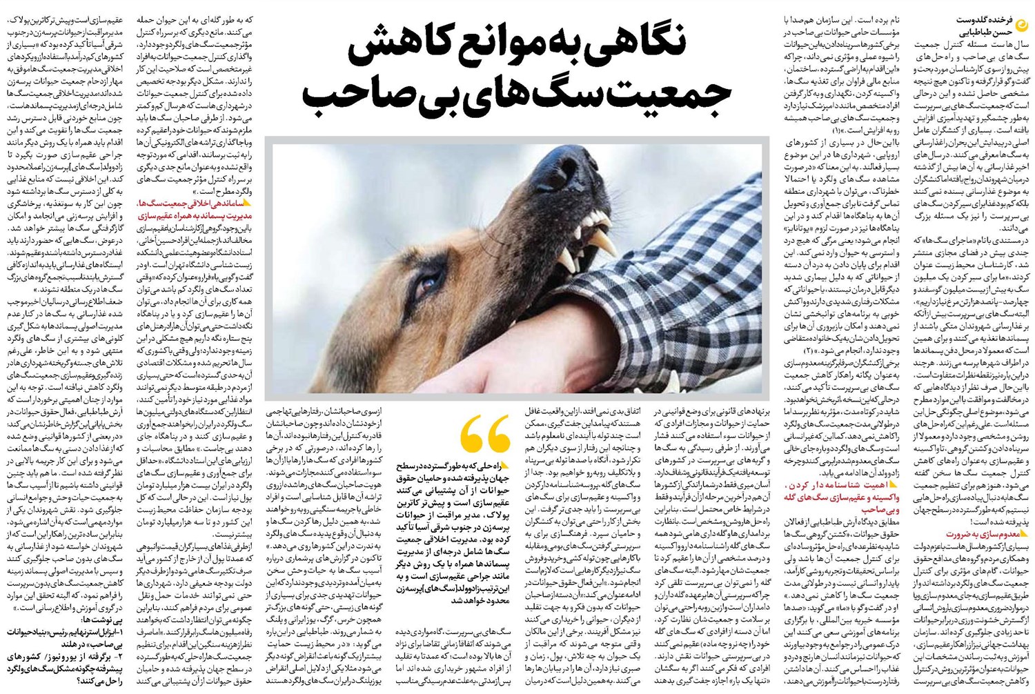 نگاهی به موانع کاهش جمعیت سگهای بیصاحب