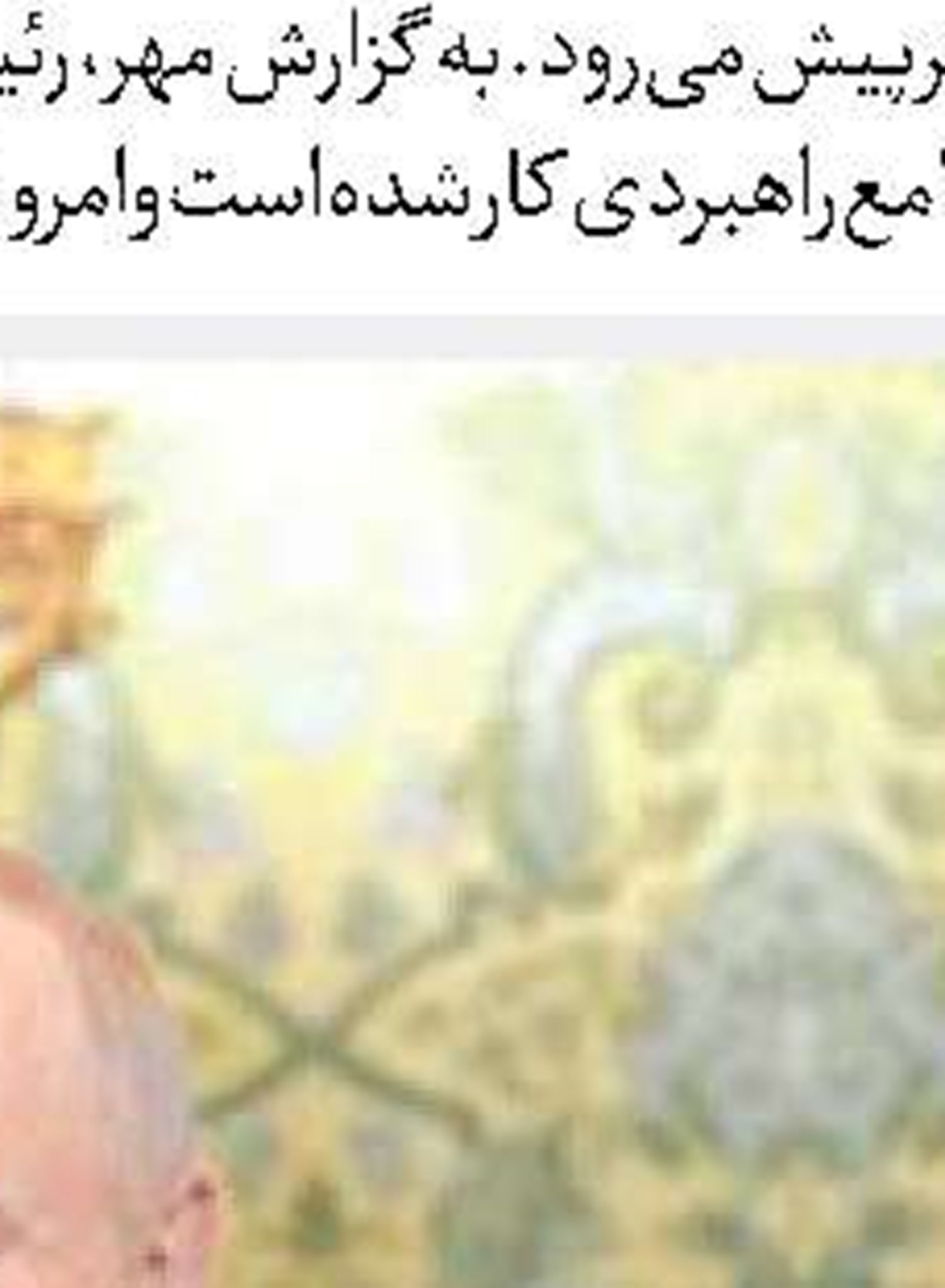  لانه عنکبوت در هم شکست