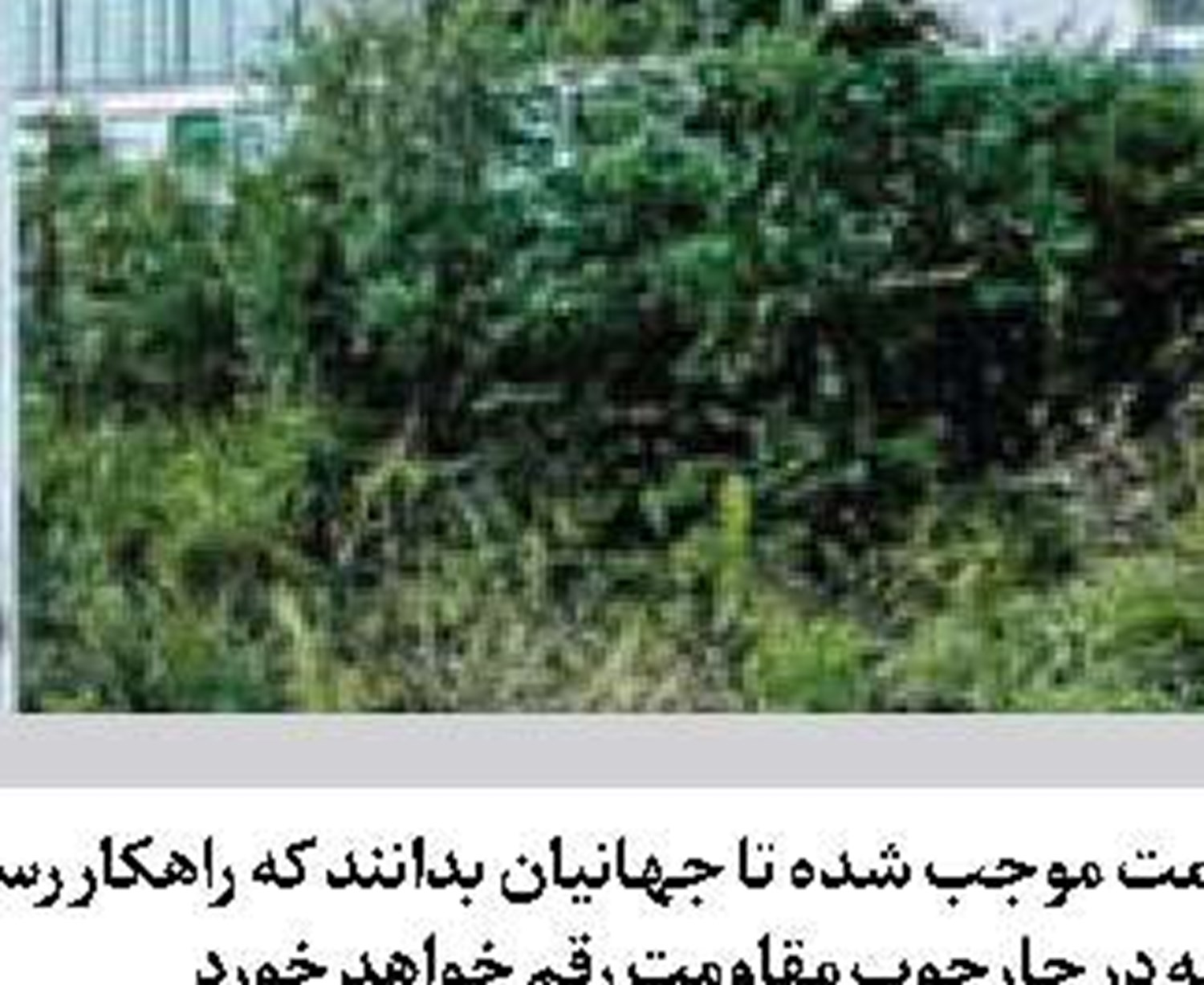 ترامپ از قطع کمک‌ها برای آفریقای جنوبی خبر داد