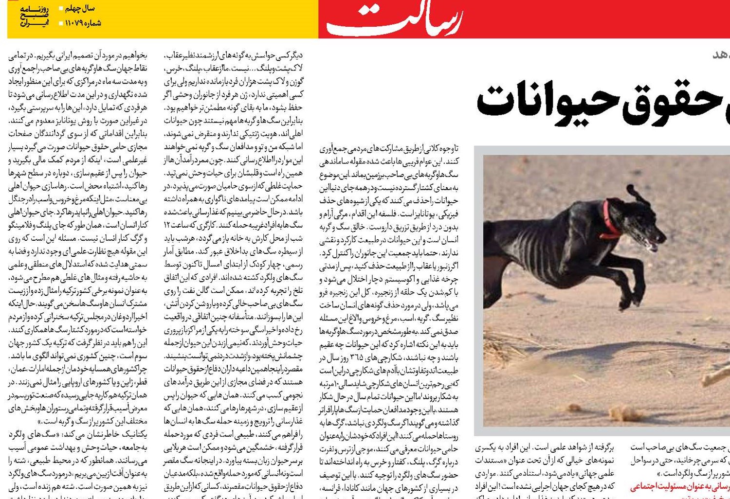 پدیده حامیان دروغین حقوق حیوانات