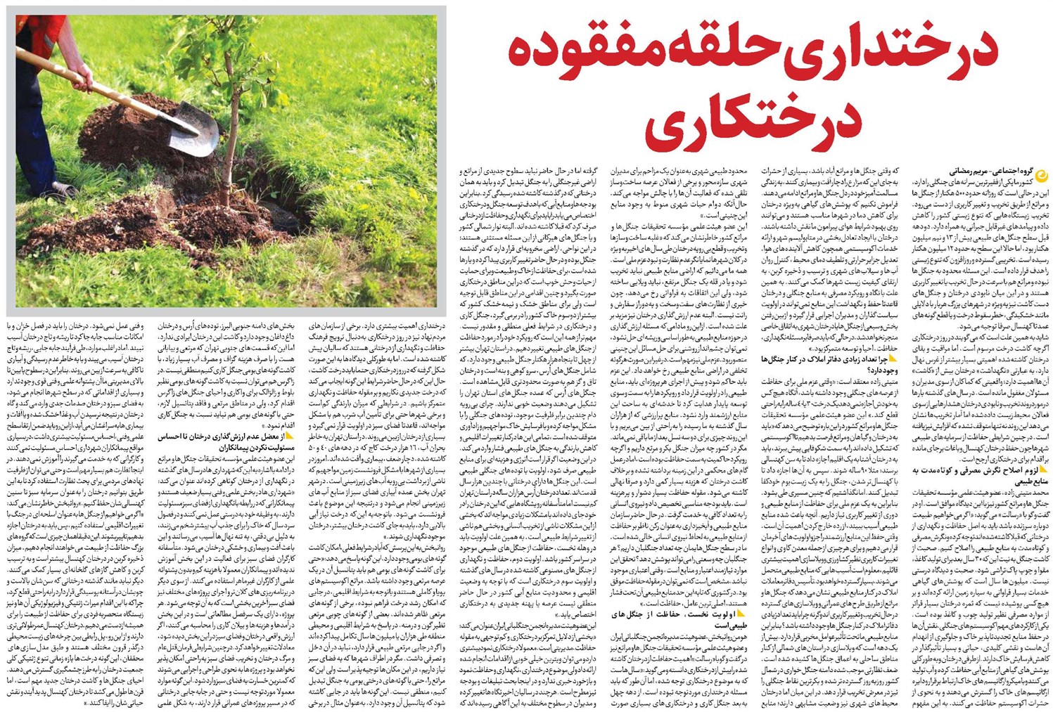 درختداری حلقه مفقوده درختکاری
