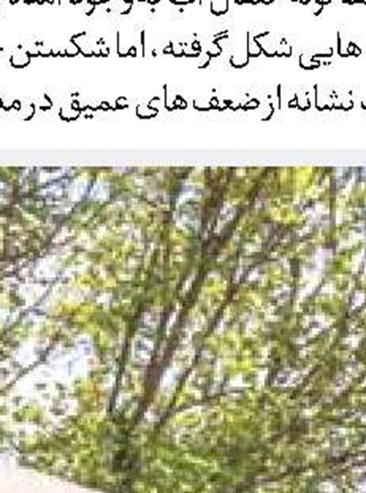 تأثیر زیرساخت‌ها بر رونق تولید