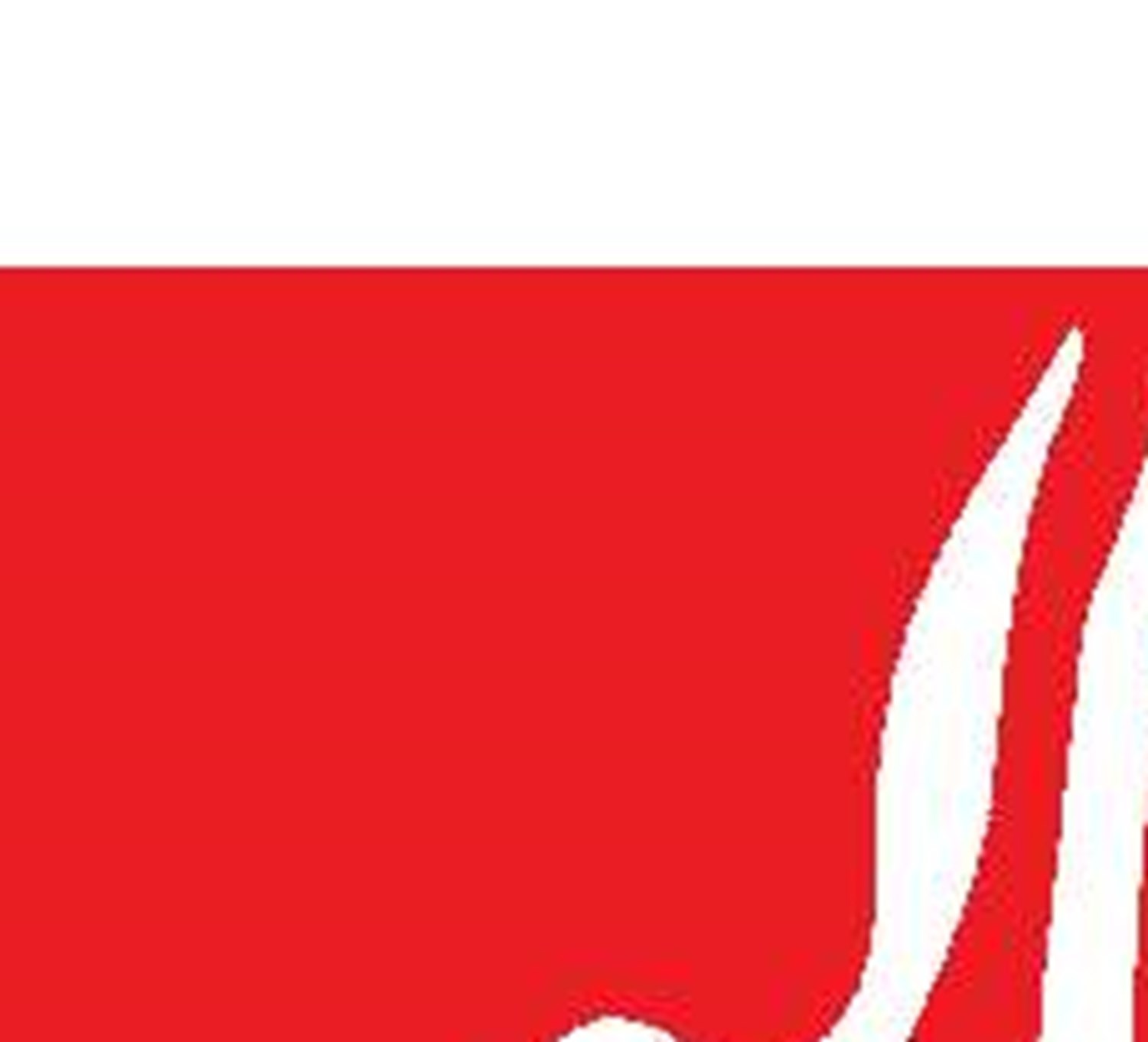 عمق شکاف در لانه عنکبوت