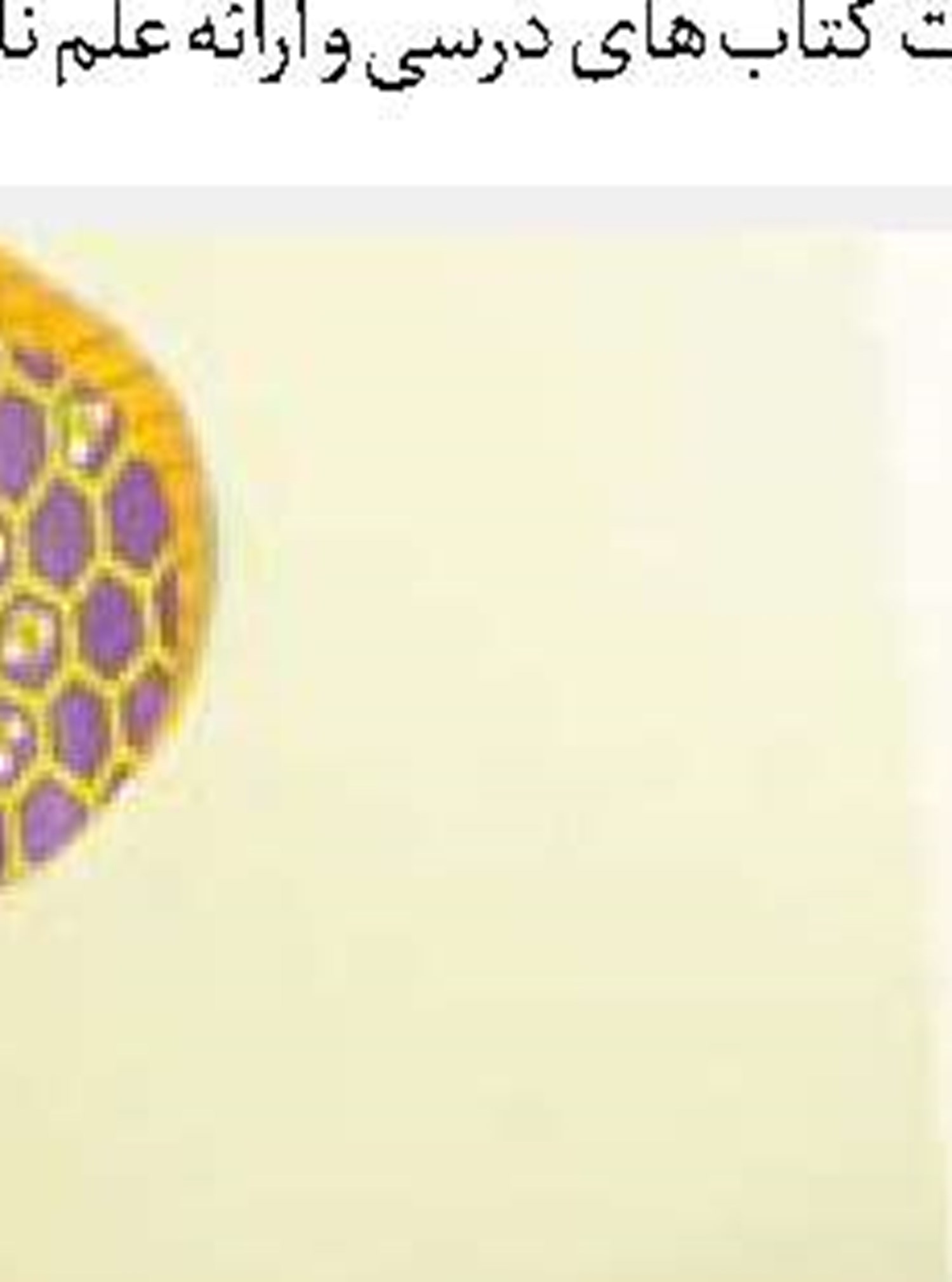  اشتغال روستایی در عصر دیجیتال