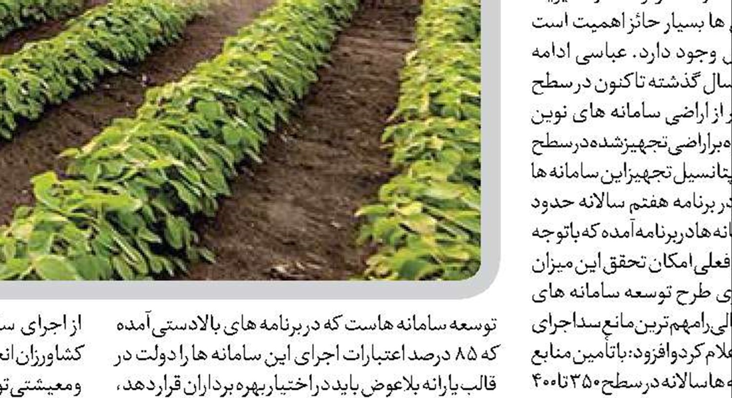 دولت اولویت تخصیص اعتبار به کشاورزی را جدی بگیرد