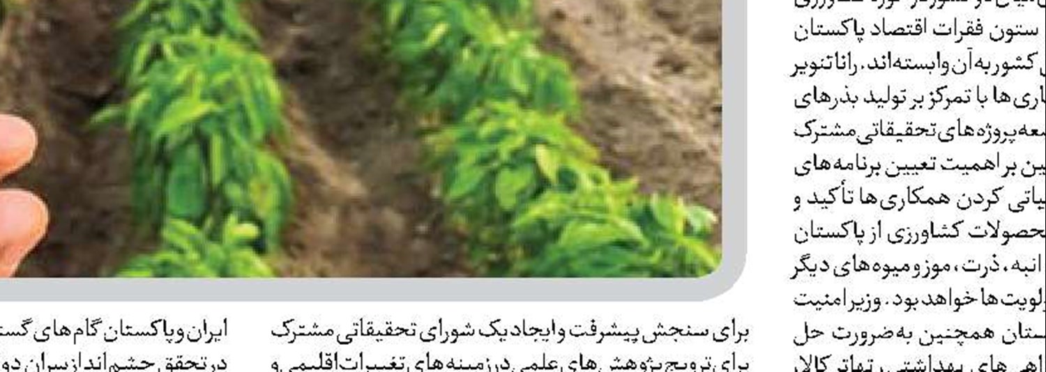  رابطه با همسایگان کلید رونق تجارت کشاورزی است