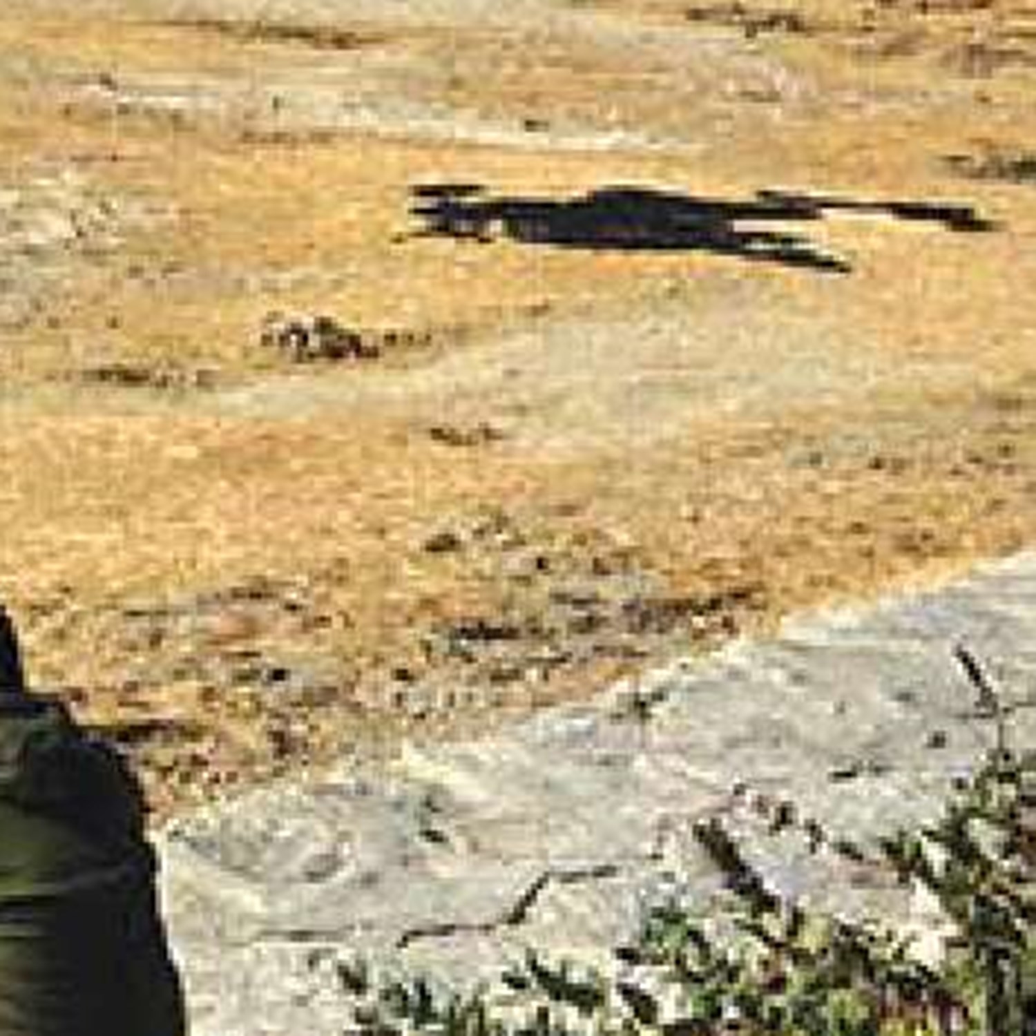 تعداد قابل‌توجه روزهای آلوده تهران  در سال جاری