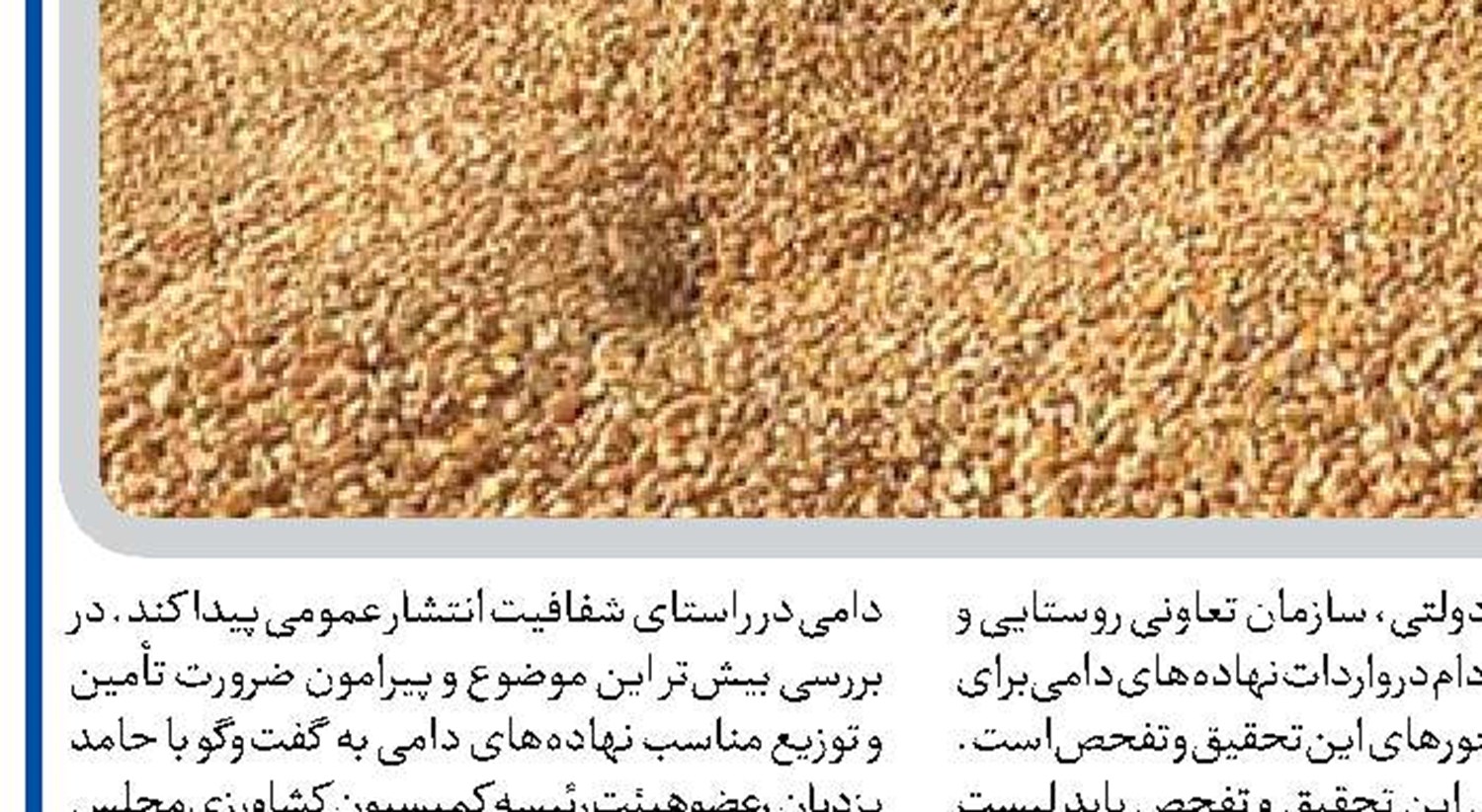 بی‌انضباطی در توزیع نهاده‌ها به ضرر تولید است