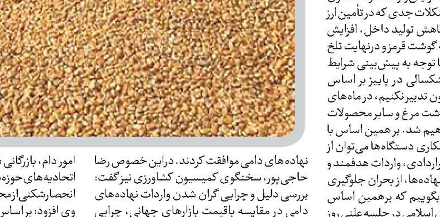 نظارت بر تأمین نهاده های دامی باید تقویت شود
