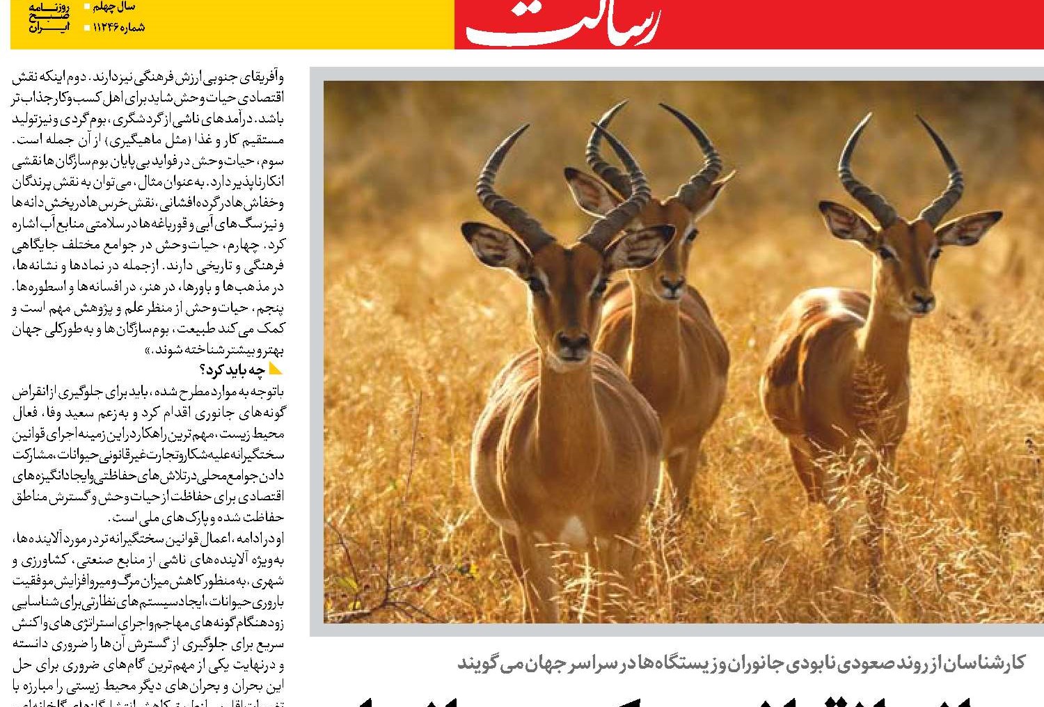 خطر جهانی انقراض در کمین جانوران