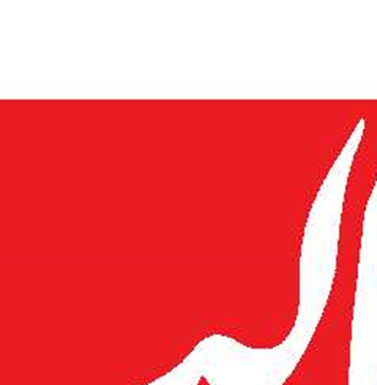 سلاح مقاومت تضمین امنیت لبنان است