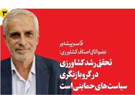تحقق رشد کشاورزی در گرو بازنگری سیاستهای حمایتی است