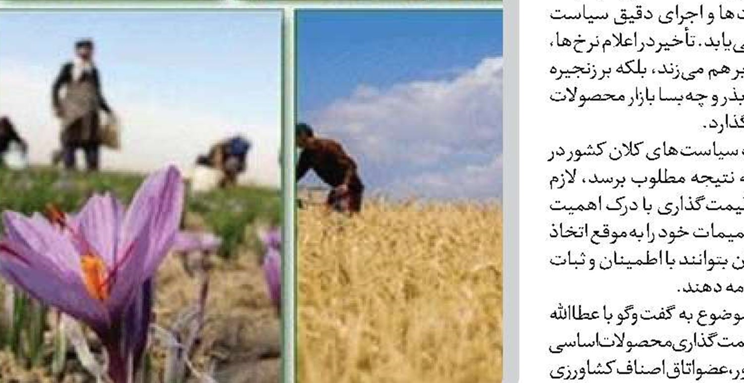  الگوی کشت بدون برنامه‌ریزی دقیق، به نتیجه نخواهد رسید