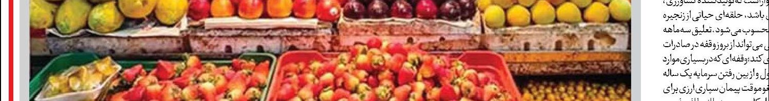 بخش کشاورزی می‌تواند  پیشران توسعه صادرات و ارتباط با همسایگان باشد