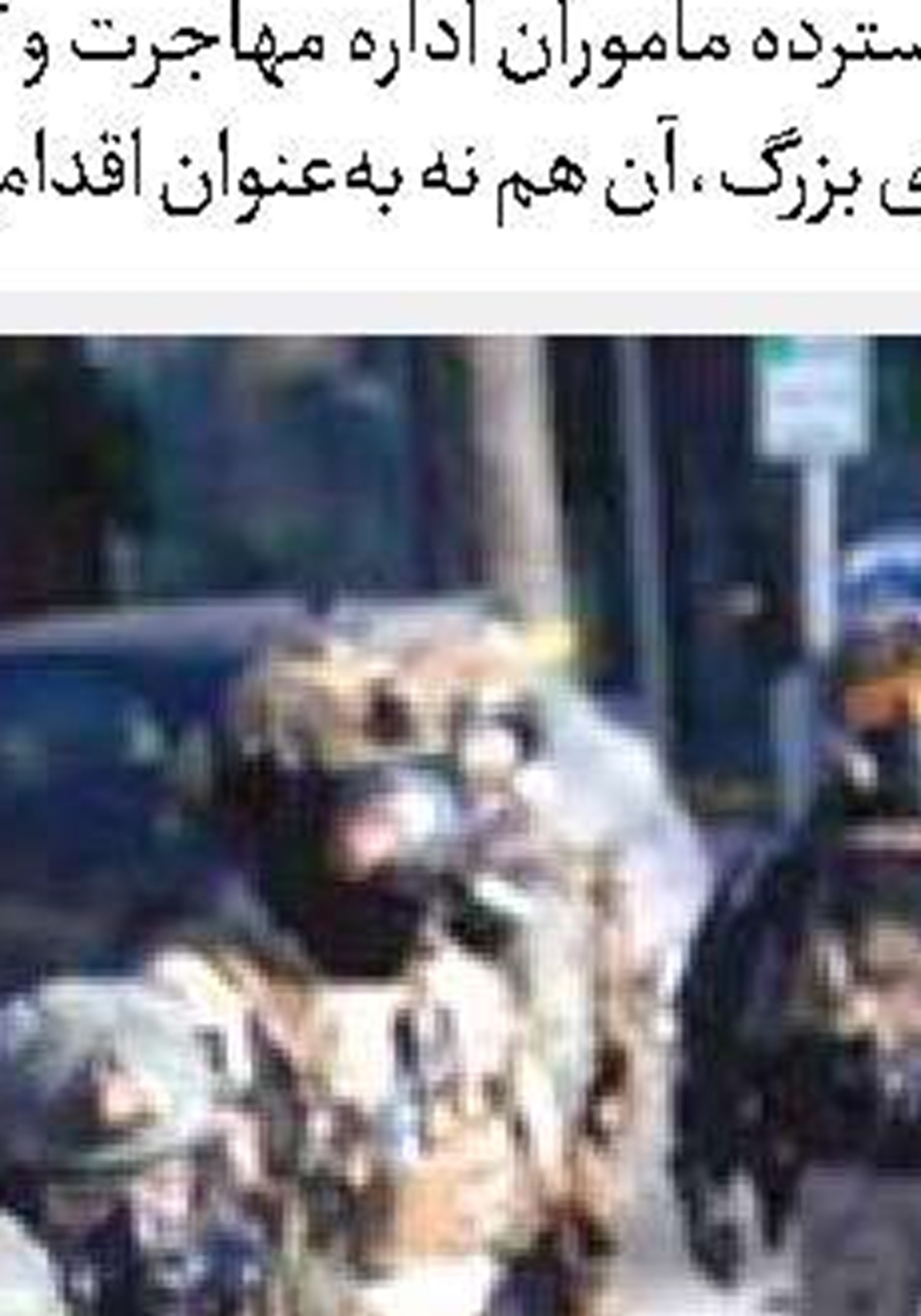 مسجد  از سنگر بیدارکننده تا عمارت خاموش