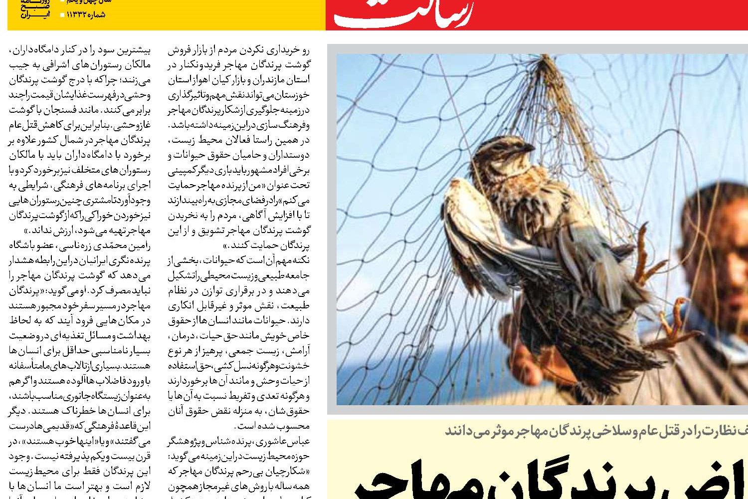 خطر انقراض پرندگان مهاجر