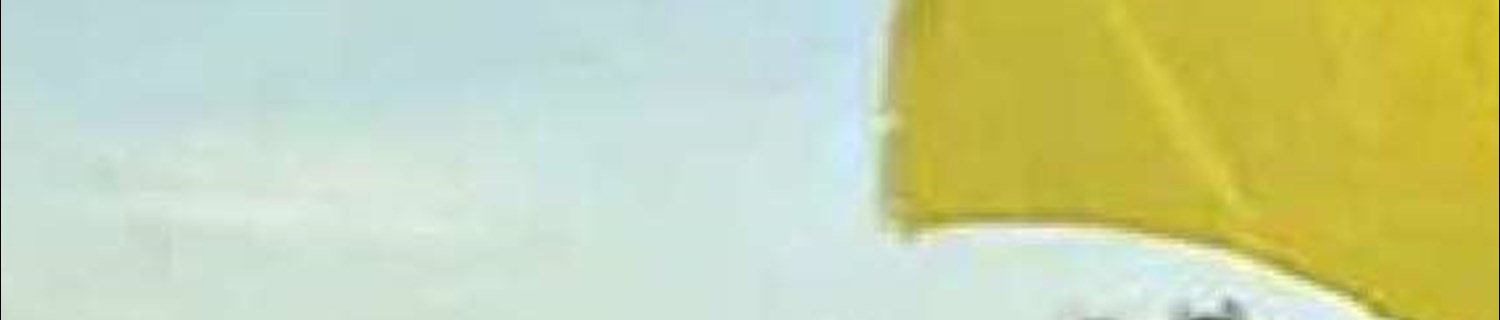 هوش سیاسی اندک ونس! 